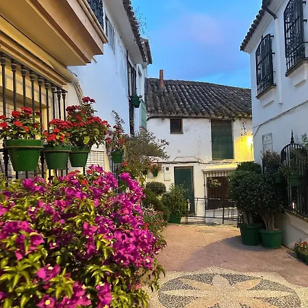 2 Bed Centre Next To The Beach! Apartment